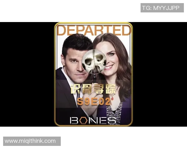 神秘人和山猫推荐的精彩对决揭示了隐藏的真相与智慧选择